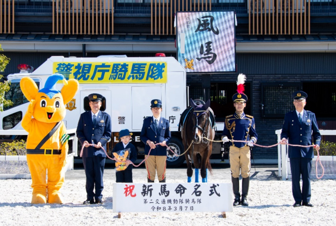 令和7年新馬